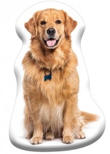 Poduszka kształtowa PIESEK GOLDEN RETRIEVER kształtka (KSZ241034)