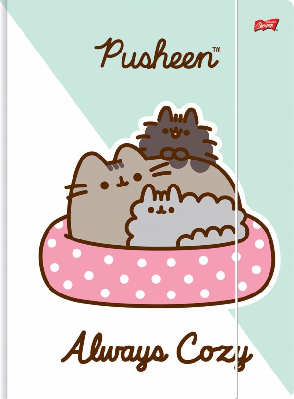2x Teczka rysunkowa A4 z gumką PUSHEEN Kot Kotek (63314SET2CZ)