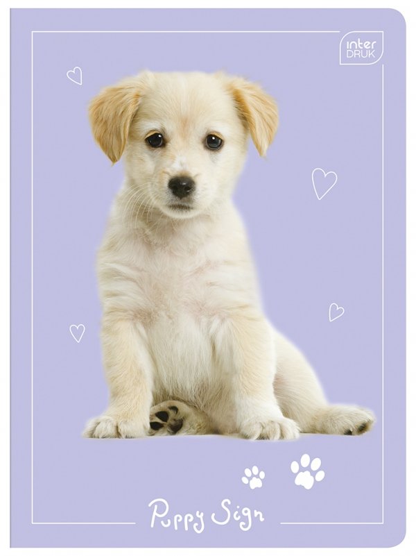 Zeszyt A5 w kratkę 16 kartek Puppy Sign mix (26921)