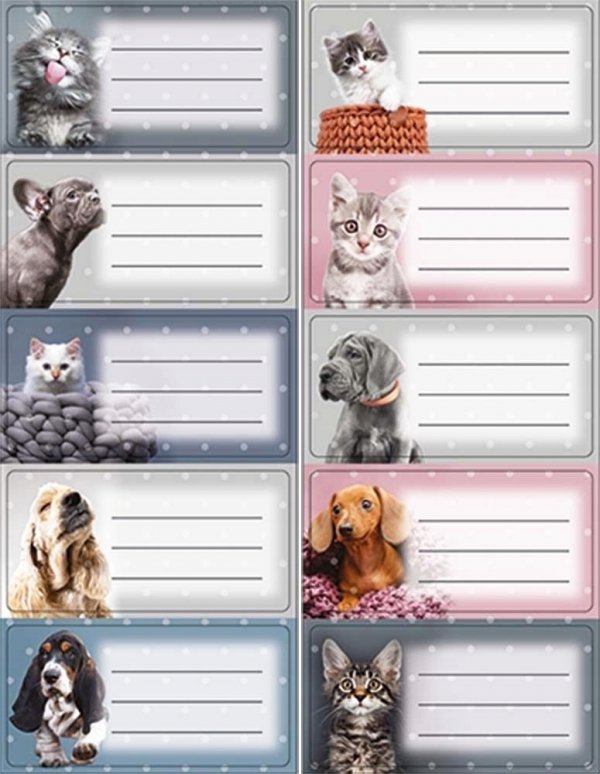 Nalepki naklejki na zeszyty KOTY I PSY SWEET PETS 10 SZTUK (26082)