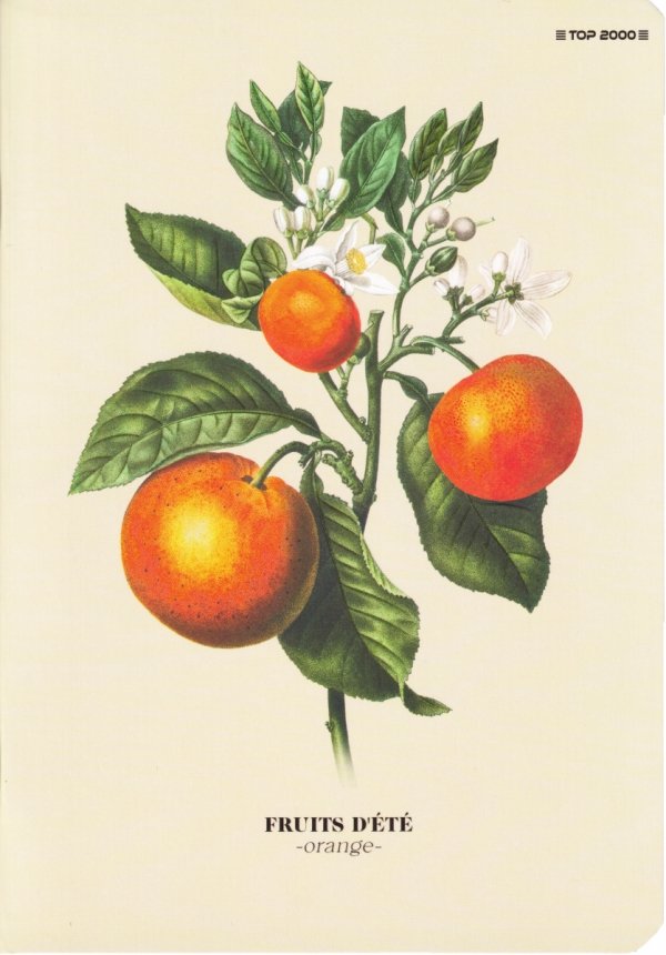 5x Zeszyt A5 60 kartek w linię SUMMER HARVEST CLUB (400182443SET5CZ)