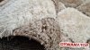 CALIFORNIA beige / vizon beżowy 3D