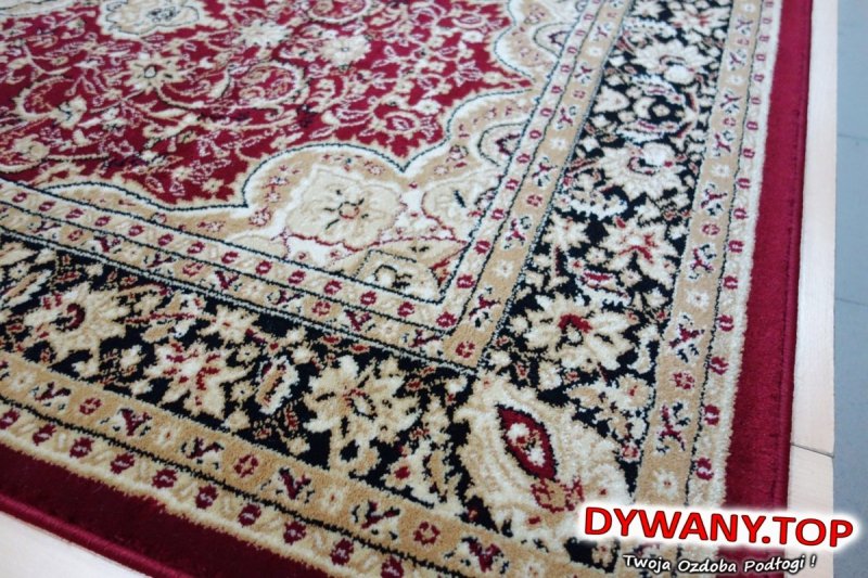 EXCLUSIVE D.RED/ BLACK bordo 100x200