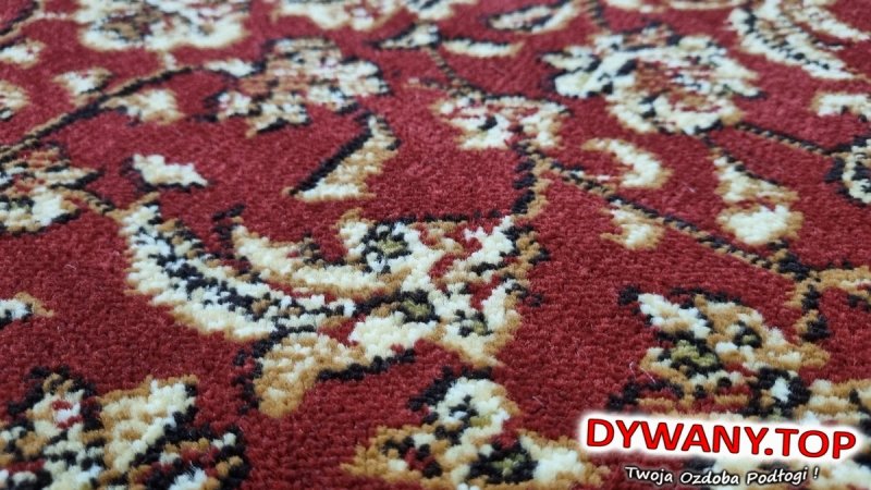 STANDARD HERMIONA terakota owal 100x180