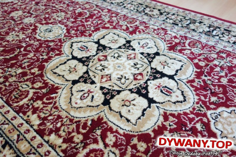 EXCLUSIVE D.RED/ BLACK bordo 100x200