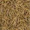 Trop. Meal Worms 250ml terraria