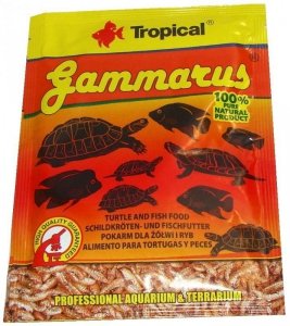 Tropical Gammarus 12 g