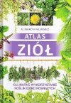 Atlas ziół. Kulinarne wykorzystanie roślin dziko rosnących - Aleksandra Halarewicz, SBM