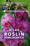 Atlas roślin doniczkowych - stan outletowy