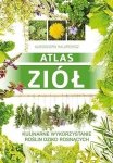 Atlas ziół. Kulinarne wykorzystanie roślin dziko rosnących