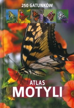 Atlas motyli. 250 gatunków