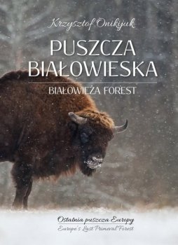 Puszcza Białowieska. Białowieża forest - wydanie polsko-angielskie