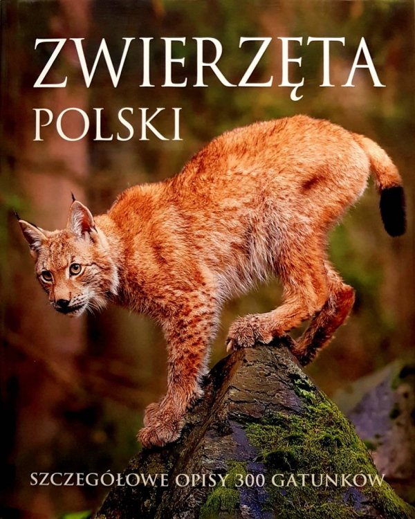 Zwierzęta Polski, Joanna Kapusta, Piotr Kapusta