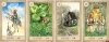 Fairy Tale Lenormand instr.PL