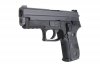 WE - Replika F229