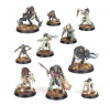 Warcry - Royal Beastflayers