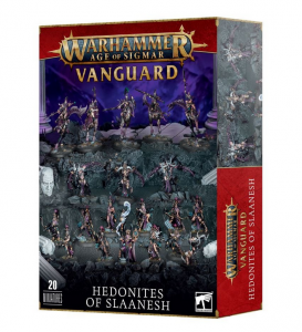 Vanguard - Hedonites of Slaanesh