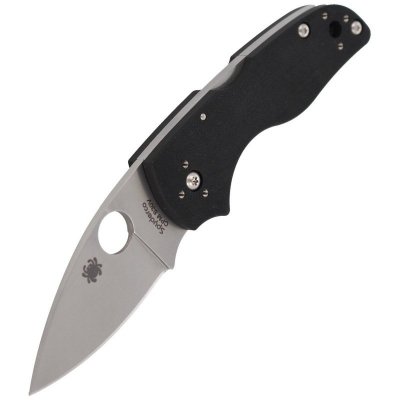 Spyderco - Nóż Lil' Native Back Lock (C230MBGP)