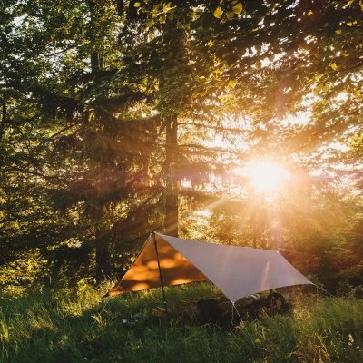 Tarp Lesovik ZMORA - mayfly green