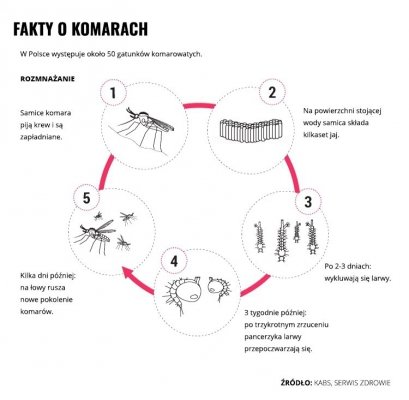 Mleczko repelent Mugga 50% DEET 50 ml