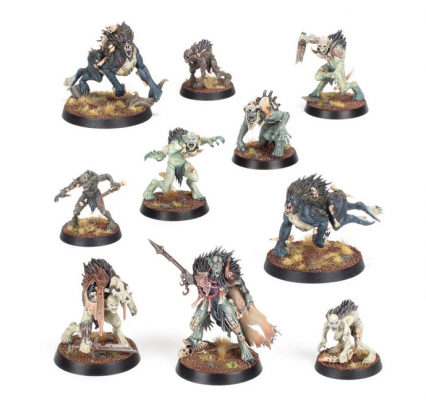 Warcry - Royal Beastflayers