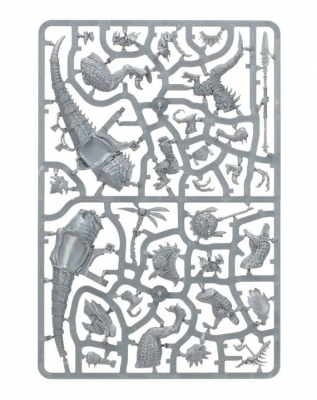 Seraphon -  Saurus Scar-Veteran On Aggradon