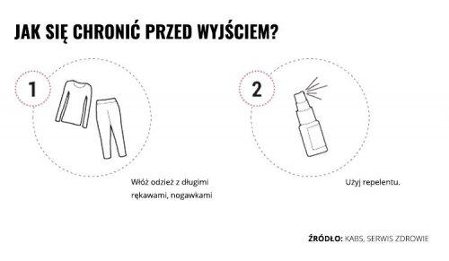 Mleczko repelent Mugga 20,5% DEET 50 ml