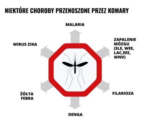 Mleczko repelent Mugga 50% DEET 50 ml