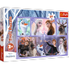 Puzzle 24 Maxi Trefl 14345 Frozen - Świat Pełen Magii