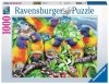 Puzzle 1000 Ravensburger 16815 Papugi - Kraina Lorikeet