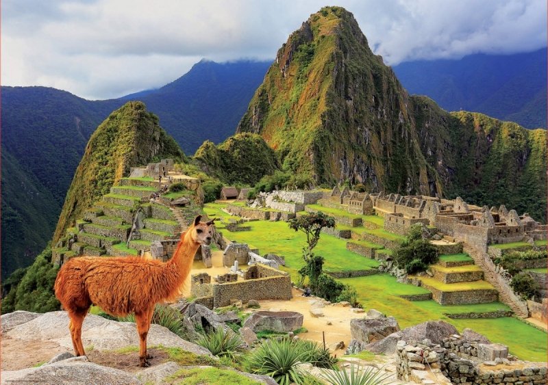 Puzzle 1000 Educa 17999 Machu Picchu - Peru