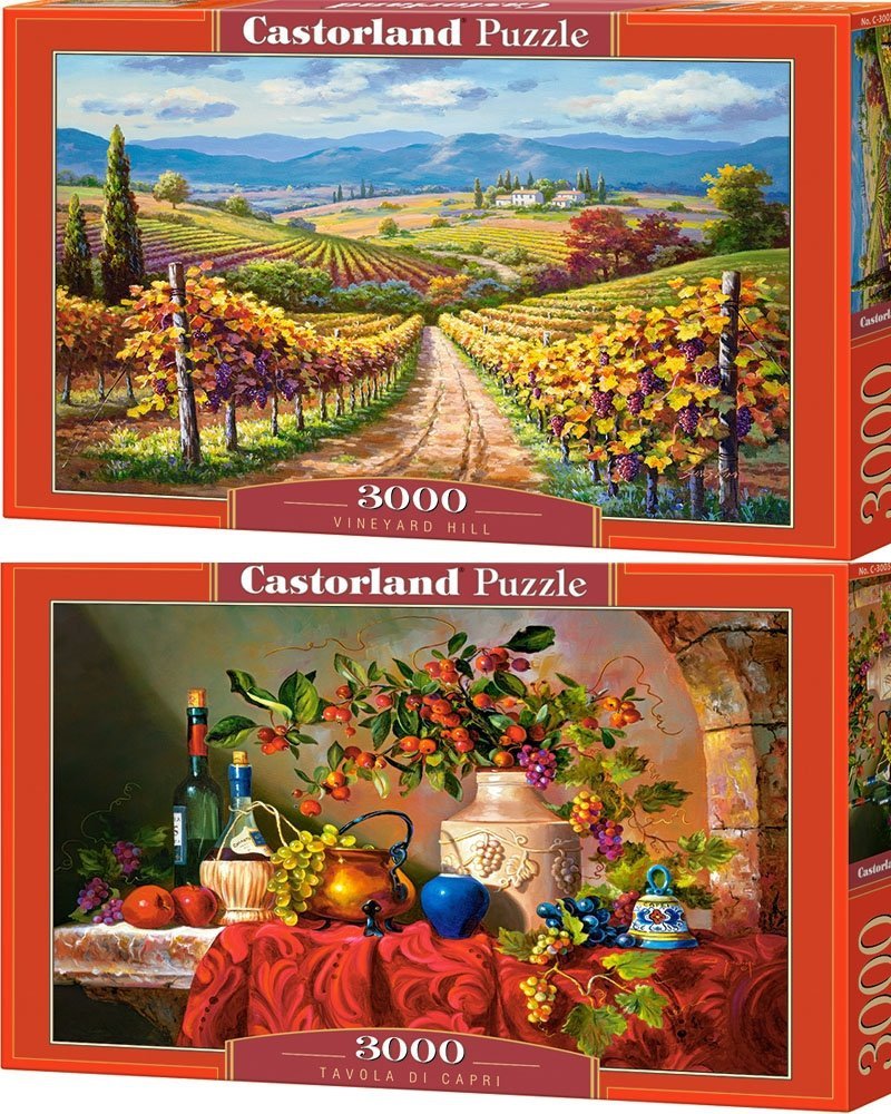 Puzzle 3000 Castorland Zestaw 2 Wzory 300587-300570