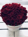 Czerwone żywe róże w dużym białym boxie
