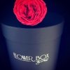 NOWOŚĆ! Czerwone żywe WIECZNE róże -dwa gatunki w dużym czarnym boxie