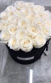  NOWOŚĆ! Kremowe WIECZNE żywe róże w velvet boxie