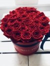 Róże żywe duży czerwony box