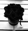 Czarne żywe WIECZNE róże w małym czarnym boxie