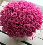 POWIĘKSZONY różowe żywe róże w dużym białym boxie