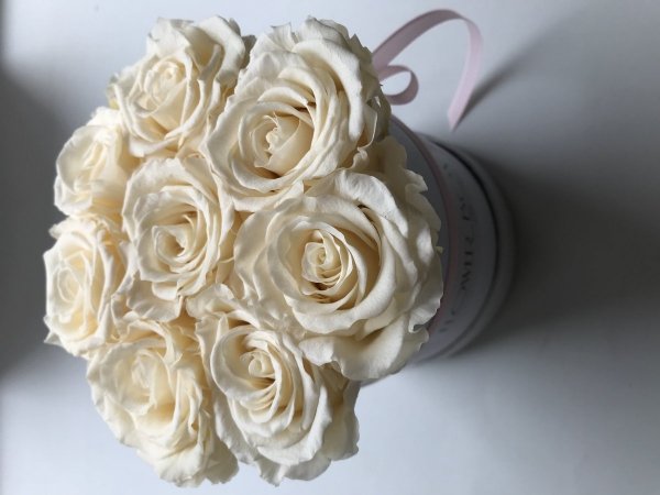Kremowe żywe WIECZNE  róże w małym białym boxie XS