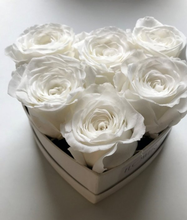 Białe wieczne róze w mini boxe heart