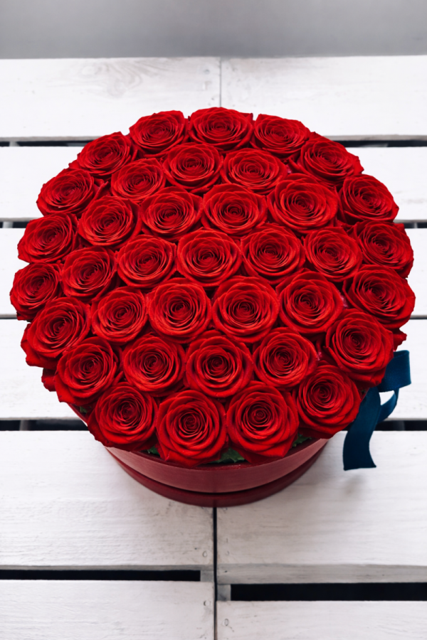 Czerwone żywe róże w dużym czerwonym boxie