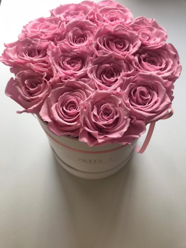 Różowe żywe WIECZNE róże w średnim białym boxie