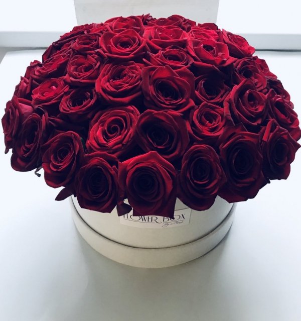  POWIĘKSZONY czerwone żywe róże w dużym kremowym VELVET boxie