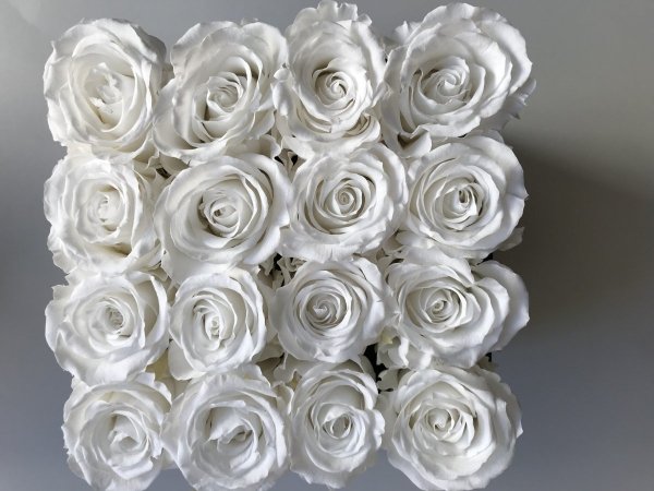 Białe żywe WIECZNE róże w kwadratowym czarnym boxie
