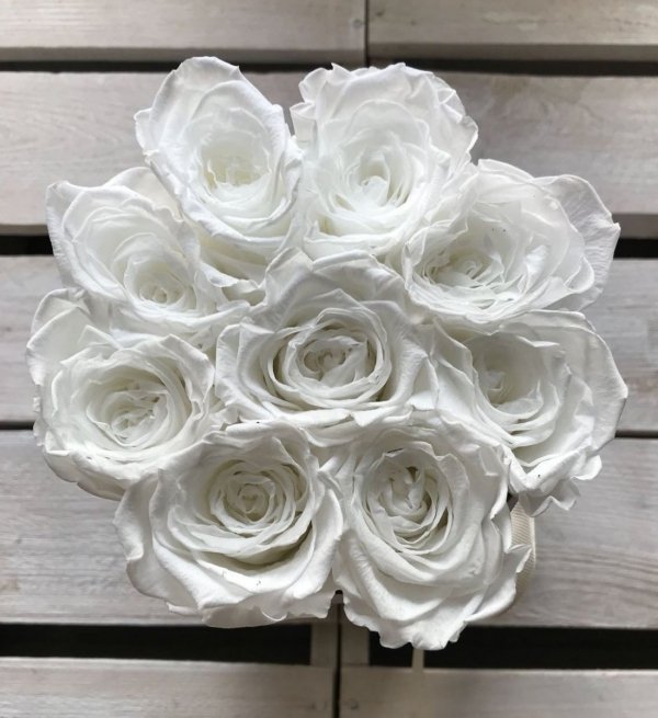 Białe żywe WIECZNE róże w małym białym boxie
