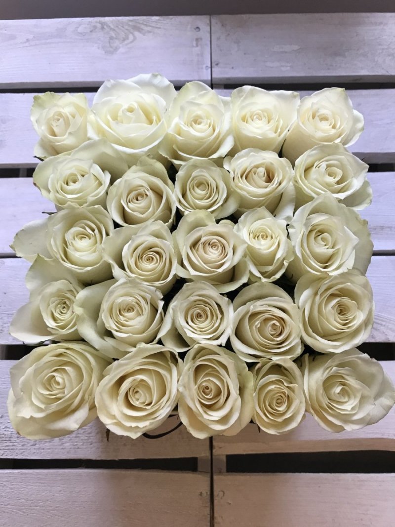 Białe żywe róże w kwadratowym białym boxie