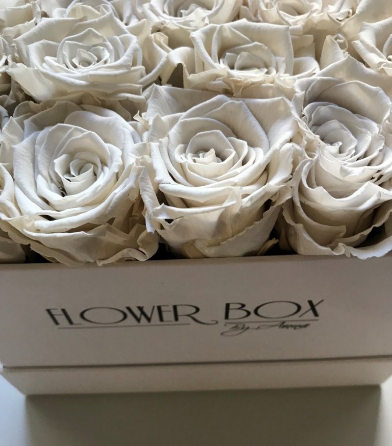 Kremowe żywe WIECZNE róże w kwadratowym białym boxie