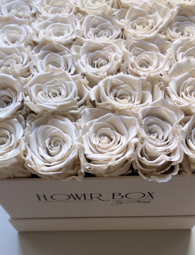 Kremowe żywe WIECZNE róże w kwadratowym białym boxie