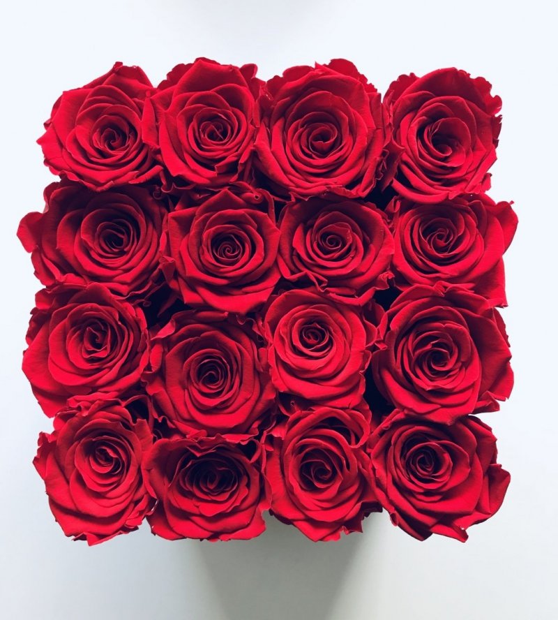 Czerwone żywe WIECZNE róże w kwadratowym białym boxie