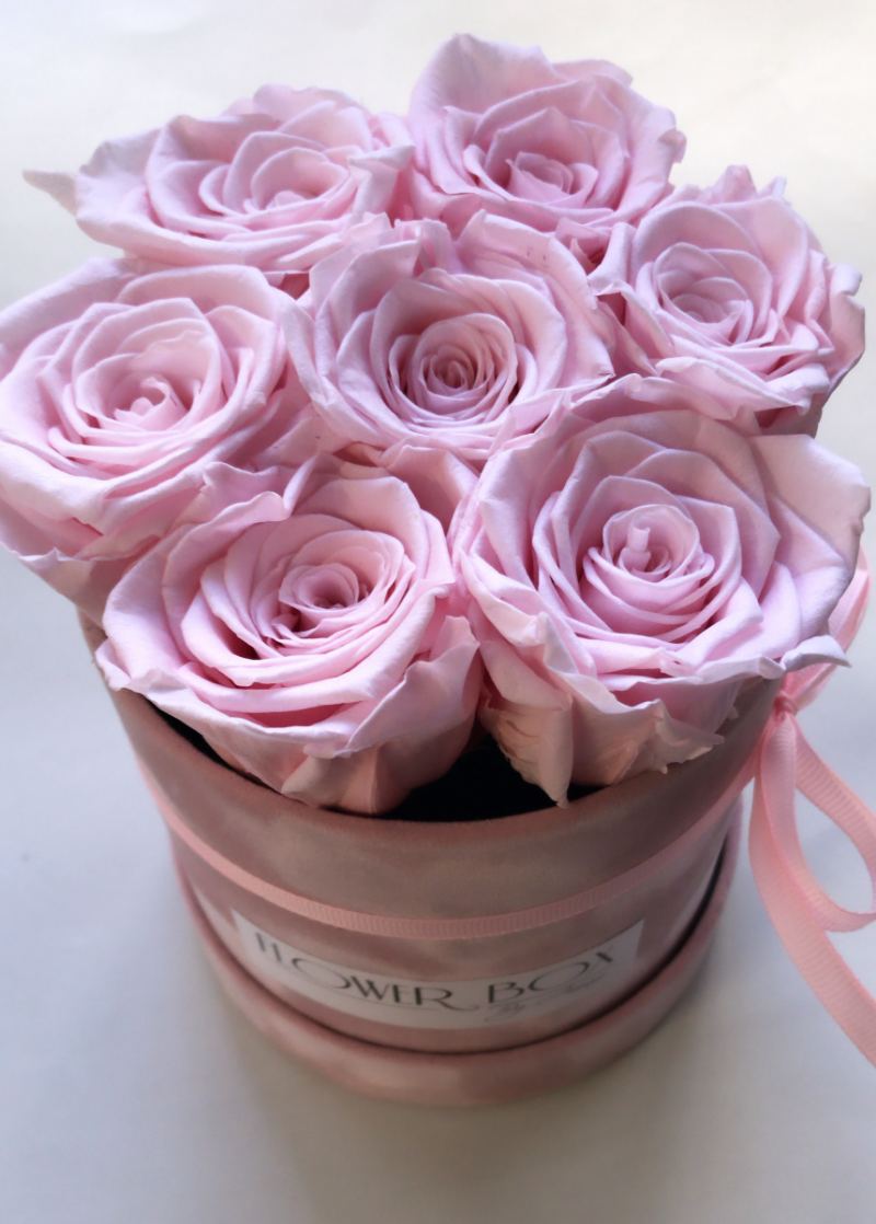Pudrowo rózowe żywe WIECZNE róże w małym różowym velvet boxie XS